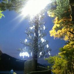 살면서 서로 안아주고 위로해주고 마주보며 밝게 웃으며 살아가는 세상을 그려보는 해바라기.....고난과 불합리가 그마음을 흔들지라도....그래서 더욱더 기도하고...겸손해지고....사랑하고....