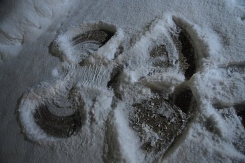 Simple_Simple's profile picture. 