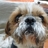 muffin_john