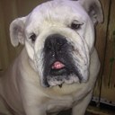 Steve Leeds - @driverst24 - Twitter