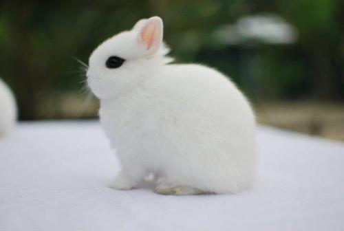 Baig786's profile picture. 