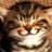 keritebo6541's profile image