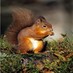 FormbyParishCouncil (@formbyparish) Twitter profile photo FormbyParishCouncil (@formbyparish) Twitter profile photo