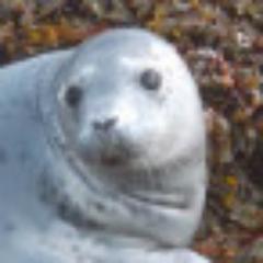 Tweets from Co. Wexford in the South-East corner of Ireland to the wider world.