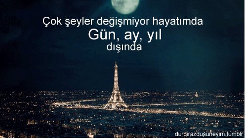 muratciner1's profile picture. 