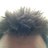 mottram74's profile image