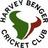 HarveyBenger's profile image
