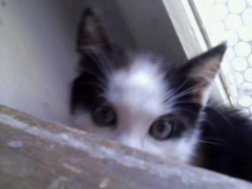 justin54813889's profile picture. 