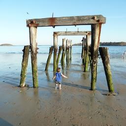 BostonNorthFam's profile picture. North of Boston Family News