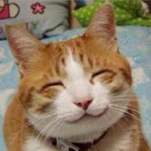 M على تويتر Wldswd 動画 グズる赤ちゃんの頭を撫でて泣き止ませる猫 Http T Co Swppdg27gs Http T Co Hycjdmtuqf うちの子も寝ながらグズってる時に頭撫でると寝る 愛猫にやらせてみようかなw M على تويتر Wldswd 動画 グズる赤ちゃんの頭を撫でて泣き止ませる猫 Http T Co Swppdg27gs Http T Co Hycjdmtuqf うちの子も寝ながらグズってる時に頭撫でると寝る 愛猫にやらせてみようかなw