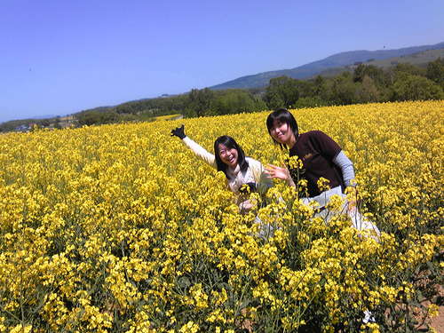 山崎さとみ Satomi456 Twitter 山崎さとみ Satomi456 Twitter