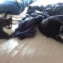 Jimmy Carpenter - @carpenter_jimmy - Twitter