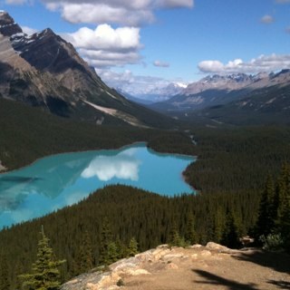 ElThumpo's profile picture. Dad, lawyer, and huge Brooklyn Nets fan since the 90s