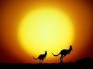 From down under ... don't have much to say