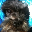 Vincent Stuart - @VincentStuart1 - Twitter