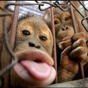 keith edward summers - @keithjrjrjr - Twitter