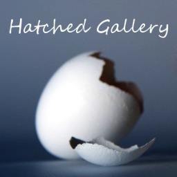 We are a pop-up art gallery based in London, UK. We have connection to the Delta House Studios. For info please email Blair at hatchedgallery@gmail.com
