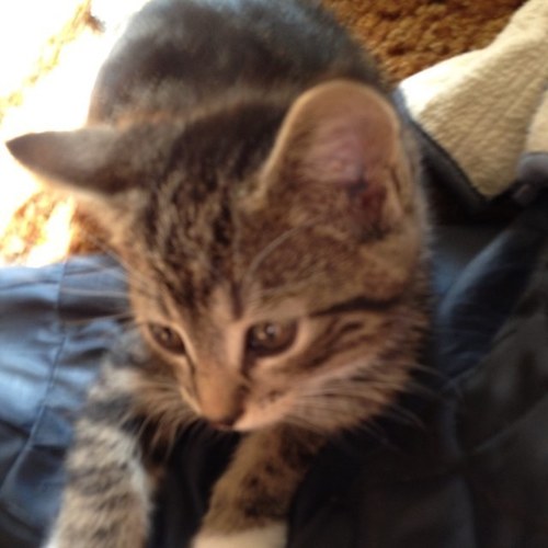 skehler77's profile picture. 