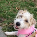 Connie Stratton - @cstrat4 - Twitter