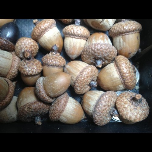 ashleajm's profile picture. 