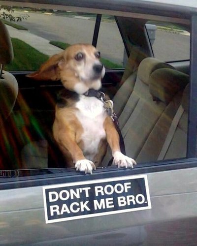 RoofRack's profile picture. #roofrack
