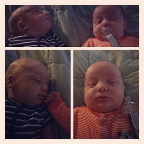 GrizzSoup's profile picture. 