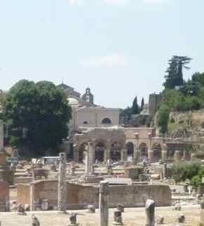 Museum_guy's profile picture. observing collective magnanimity