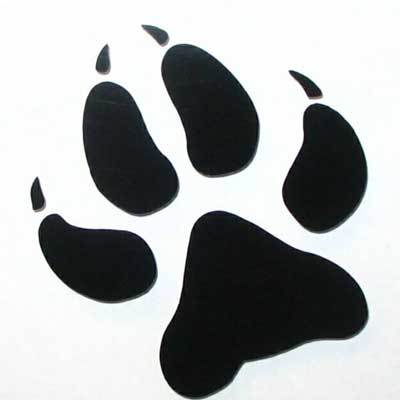 1TxWolf's profile picture. 'Adam Wolf' is the nom de plume for a discreet private investigator, skip tracer, & problem solver in Central Texas. I level the playing field.