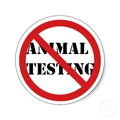 _StopAnimalTest's profile picture. PSHCE Campaign to stop Animal Testing, Every Follow Helps.