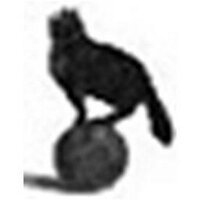 TheStatCat 💙 (@thestatcat) 's Twitter Profile