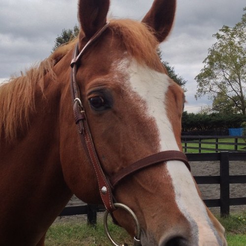 spads4311's profile picture. 