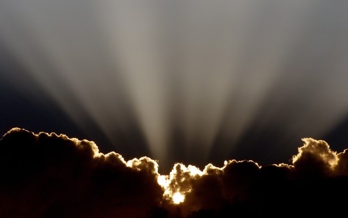 KiniaGrda's profile picture. 