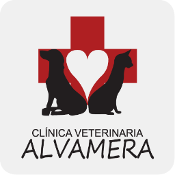 Brindamos un excelente servicio médico veterinario para satisfacer las necesidades hacia tu mascota, contamos con todos los servicios tel 53937788/0445513193255