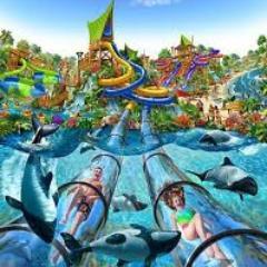Mostro videos de parque aquatico   ♥