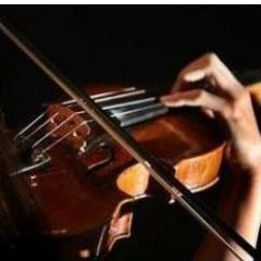 ciprianschileru's profile picture. 