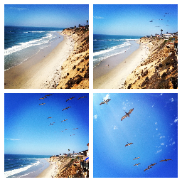 sellingthecoast's profile picture. Top 1% of Real Estate Agents in Rancho Santa Fe, Del Mar, Solana Beach, Cardiff and Encinitas.  If you need to buy or sell you might as well work with the best