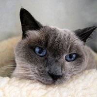 Catherine Sherman (@catherinesher10) 's Twitter Profile Photo Catherine Sherman (@catherinesher10) 's Twitter Profile Photo