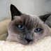 Catherine Sherman (@catherinesher10) Twitter profile photo