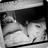 LongeDe_Voce's profile image