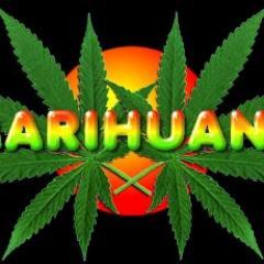 andresimon1's profile picture. ganja time - darkhoodiana 50%