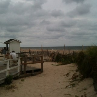 usezfds's profile picture. Dreaming on a cloud....