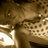 Profile Picture of ♥Yazzy Boo Athill ♥ (@Gotta_Luv_Yaz) on Twitter