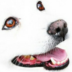 nen9ka's profile picture. Write once, read anything