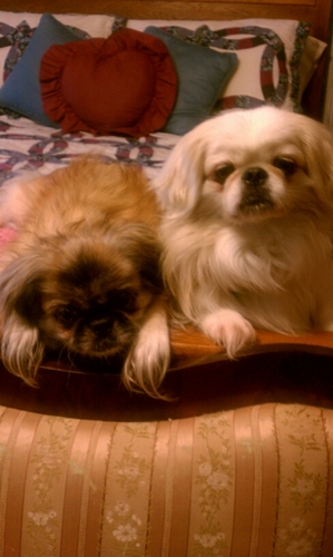 kristi_cobb's profile picture. 