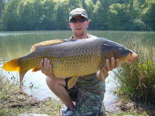 russelleverest's profile picture. non bio