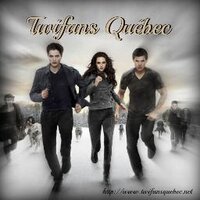 Twifans Québec (@twifansquebec) 's Twitter Profile