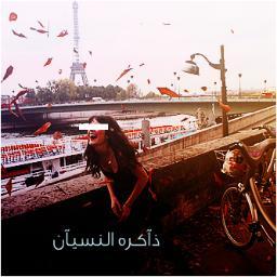 shojon_1's profile picture. اليوم الذي لا أحنّ عليكِ فيه .. هُو يوم مشكوك بوجُوده .