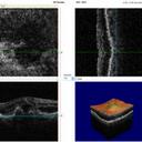 Nalin Mehta - @fovea1 - Twitter