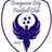 CraigavonCity's profile image