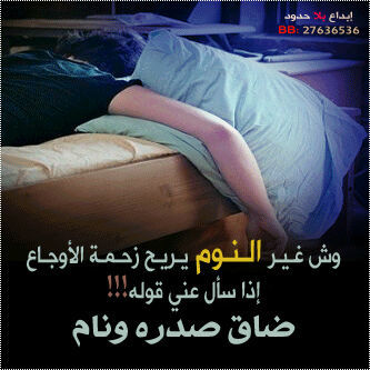 ali_Q8_98's profile picture. PIN:239FB08E